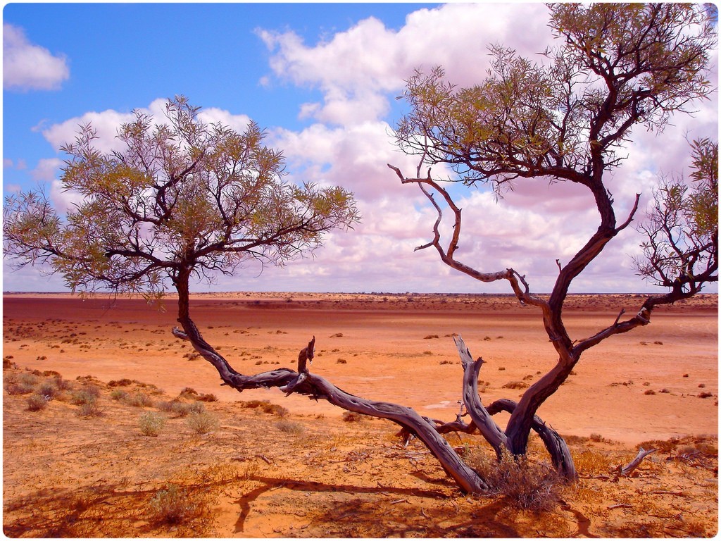 The Sun Always Shines in Australia?