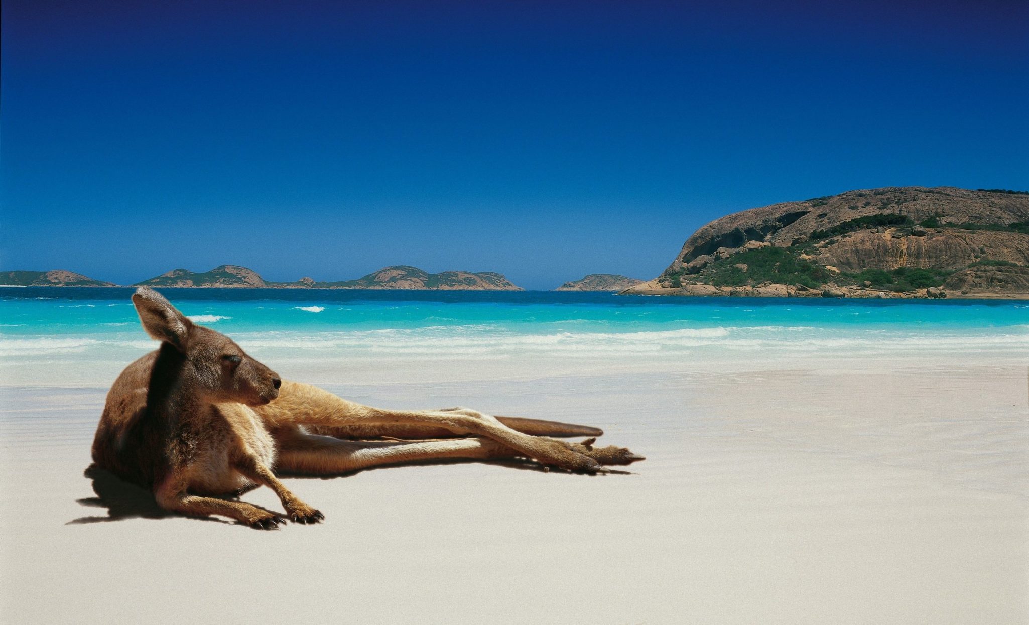 457 Visa Changes and Potential Outcomes